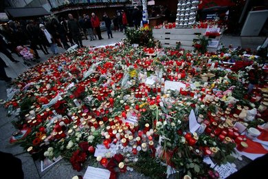 Image 446257623