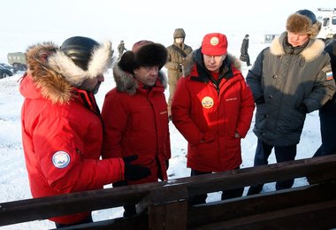 Image 446266347