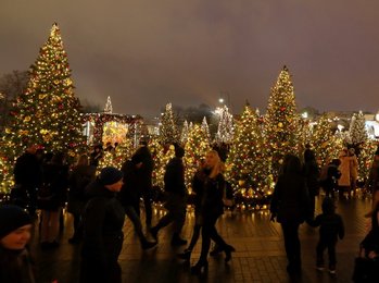 Image 446268798
