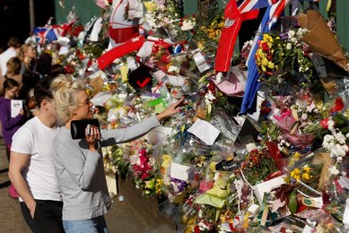 Image 446332477