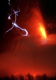 Image 446346023
