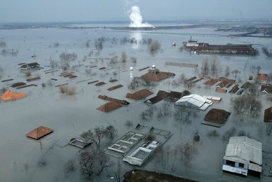 Image 446388491