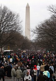 Image 446420197