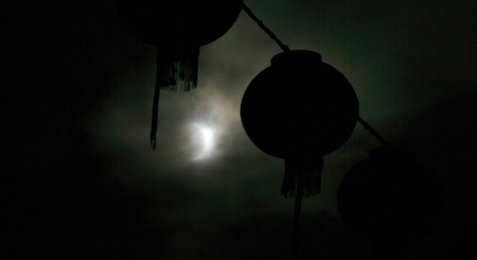 Image 446420315