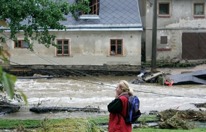 Image 446442032