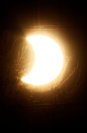 Image 446472629