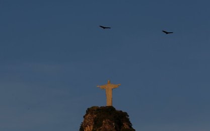 Image 446516635