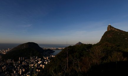 Image 446516643