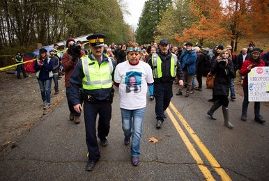 Image 446522527
