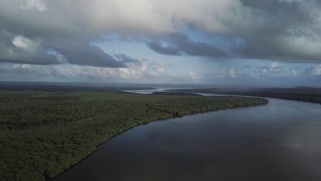 Image 446530017