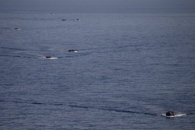 Image 446538196