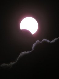 Image 446716159