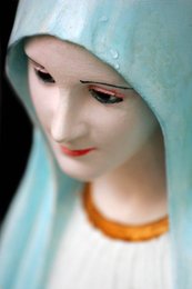 Image 446721068