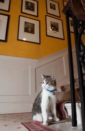 Image 446764338