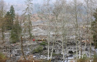 Image 446797398