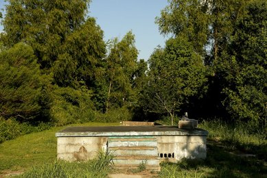 Image 446808969