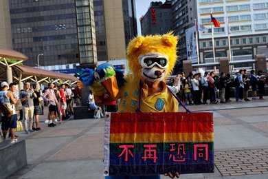Image 446828866
