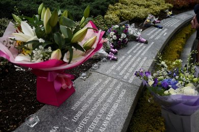 Image 446848458