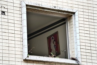 Image 446874575