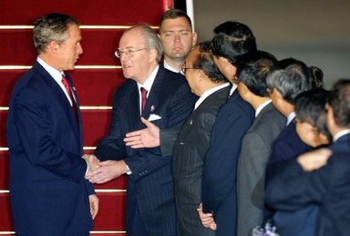 Image 446955312