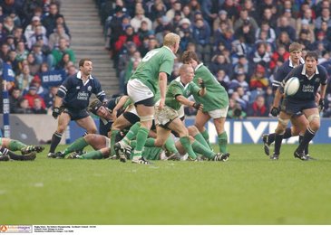 Image 446963741