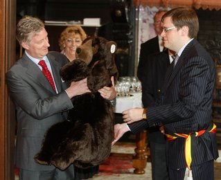 Image 447026470