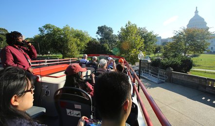 Image 447106951