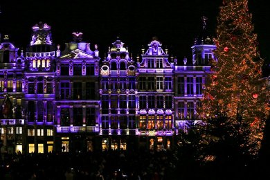 Image 447149010