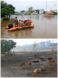 Image 447177248