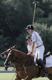 Image 447212378