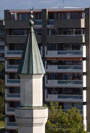 Image 447290539