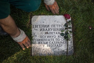 Image 447360713