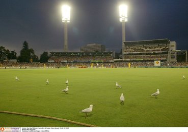Image 447525219