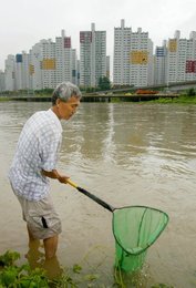 Image 447527641