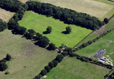 Image 447571267