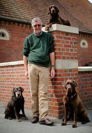 Image 447849254