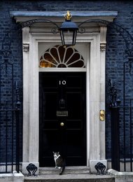 Image 447932575