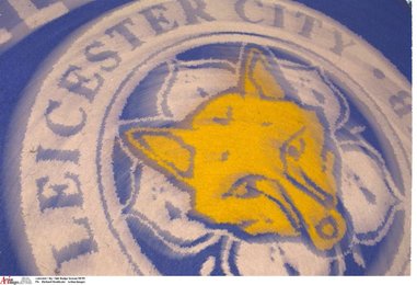 Image 447978145