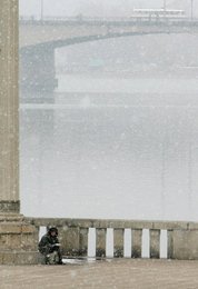 Image 448019755