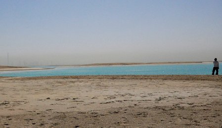 Image 448036456