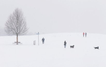 Image 448094516