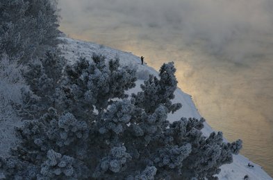 Image 448160846