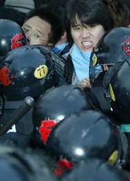 Image 448244786