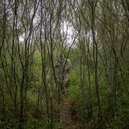 Image 448399852