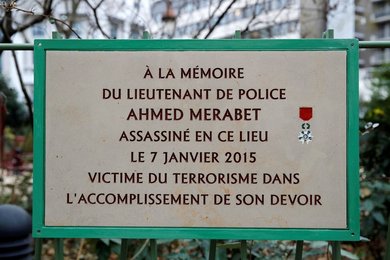 Image 448411250