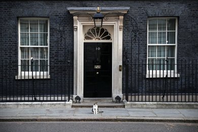 Image 448412022