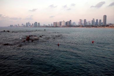 Image 448588249