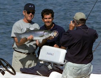 Image 448696082