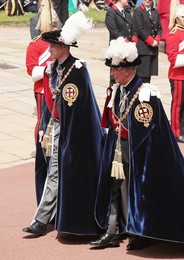 Image 448719706