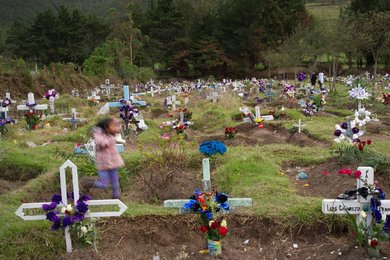 Image 448791563